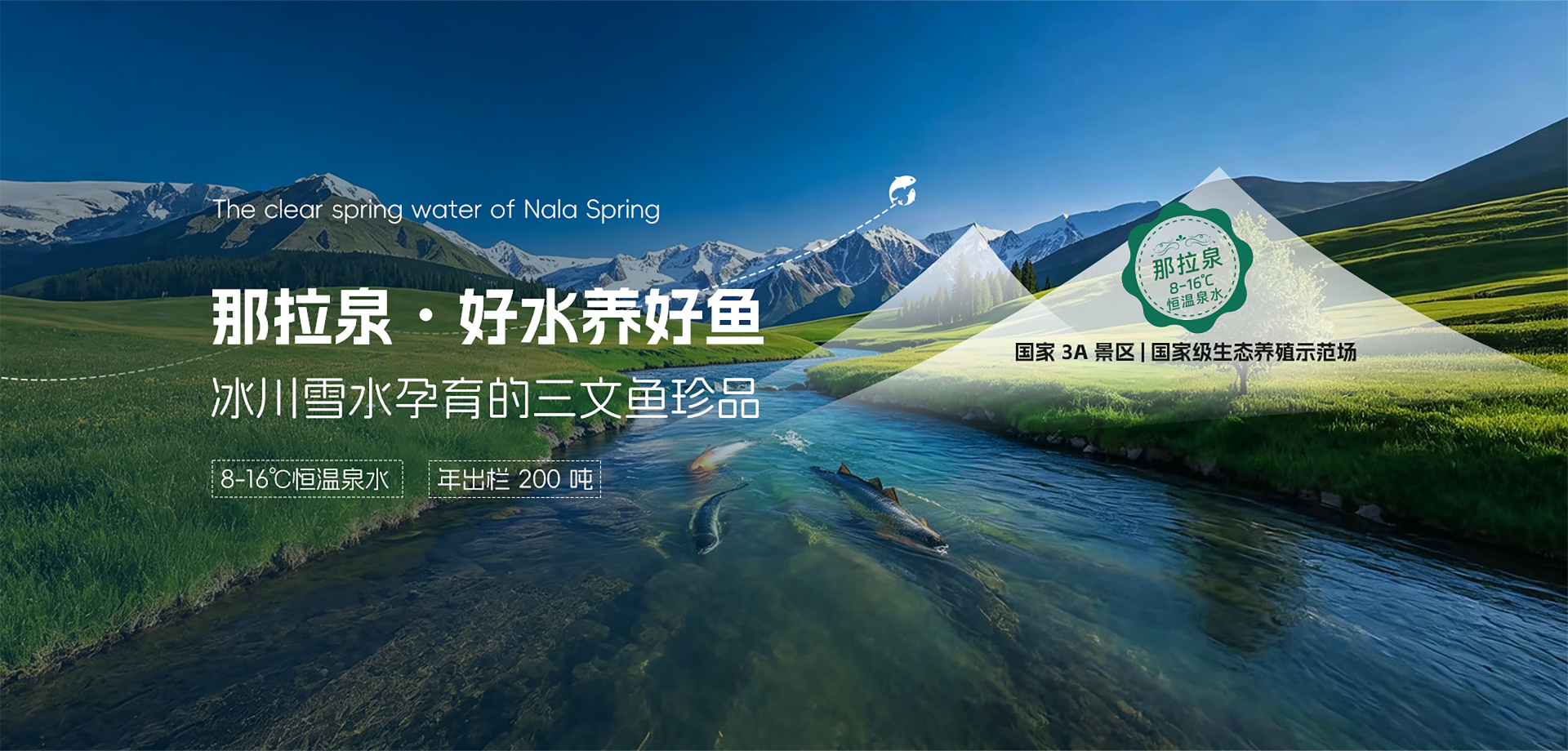 首页banner2