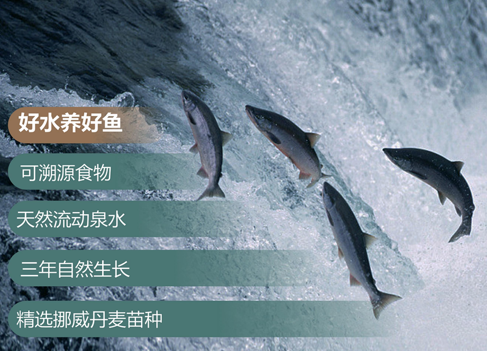 三文鱼为什么是优质健康食材？